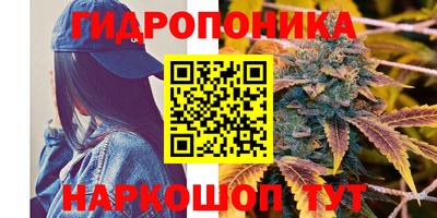 a pvp Будённовск